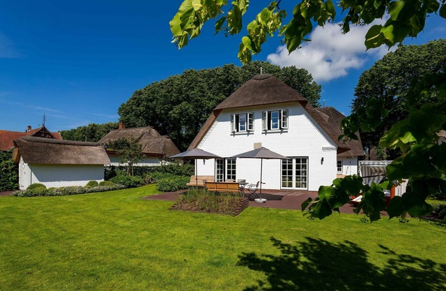 Country house under the linden trees