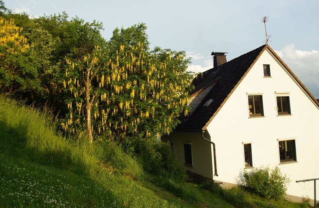Maison de campagne avec jardin - confortable, calme et détaché