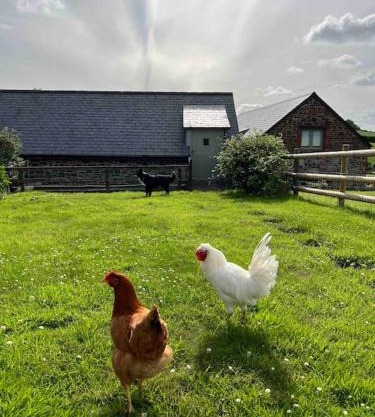 Countryside cottage with private garden & hot tub