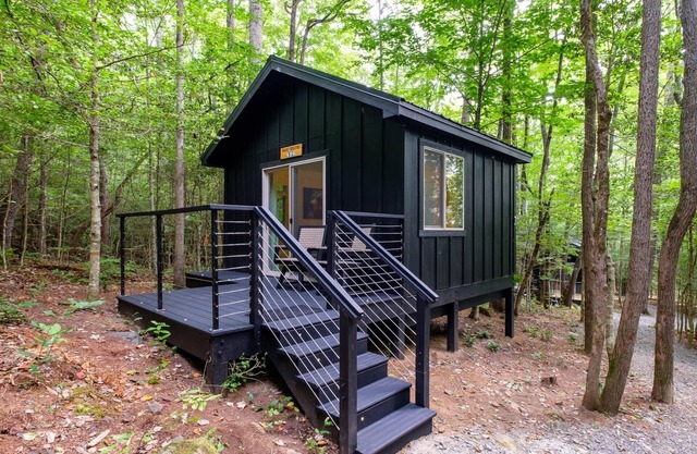 Bearly Behaving 496 - A Cozy Cabin Pisgah Retreat