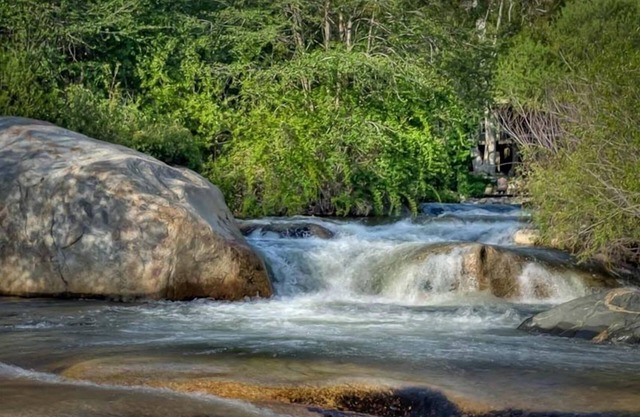 Romantic Riverfront Suite, à 7 minutes de Sequoia