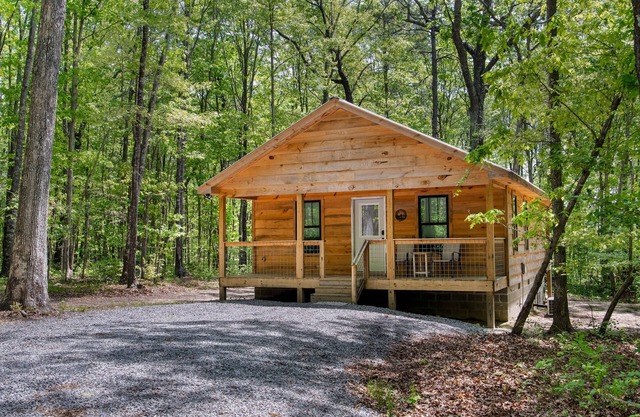 Coyote Den-centrally located w/hot tub & fire pit