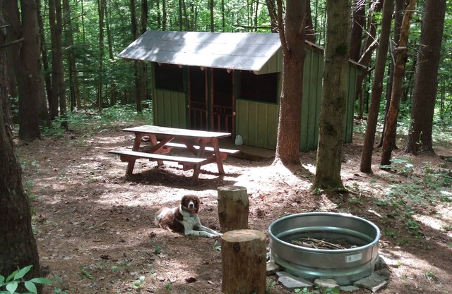 Chalet rustique dans un magnifique terrain de camping naturel adjacent aux sentiers de la forêt domaniale