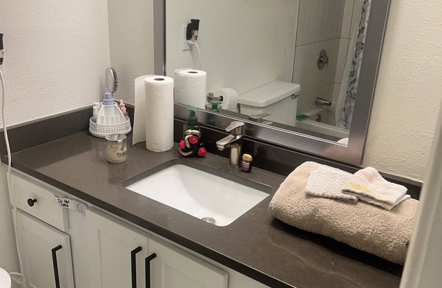Cozy 1-bedroom apartment 15mins from uptown. Includes Gym, Lake View, & pool.