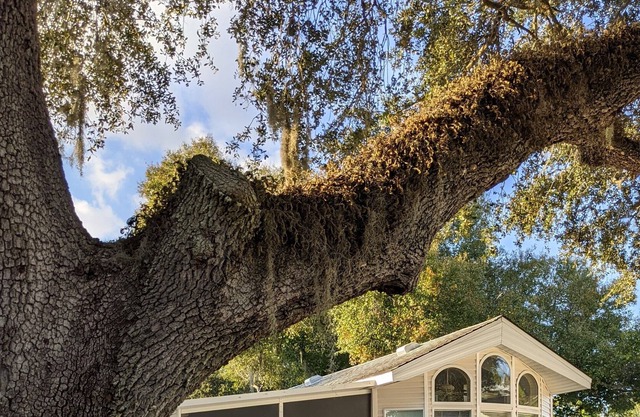 Cozy 1-bedroom cottage in Sun-N-Fun RV Resort