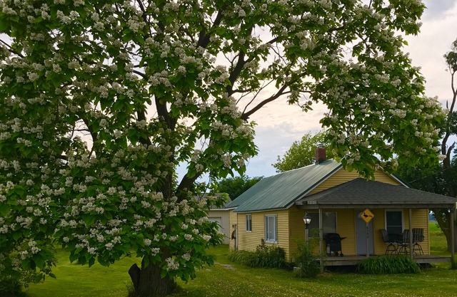 Cabane confortable de 2 chambres dans un cadre champêtre près de Saginaw Bay et Fish Point.