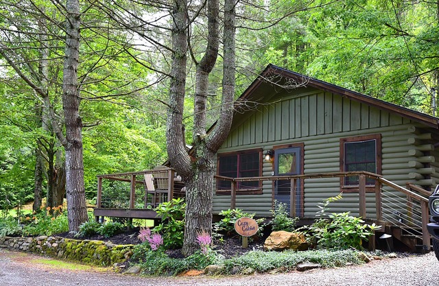 Cozy Lake Front Cabin with Hot Tub and Private Dock -Lake Nantahala