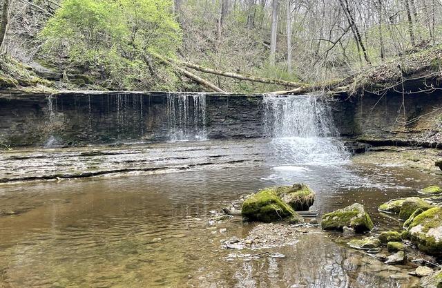 Cozy cottage with all of the amenities, Hiking Fishing allowed deer hunting fall