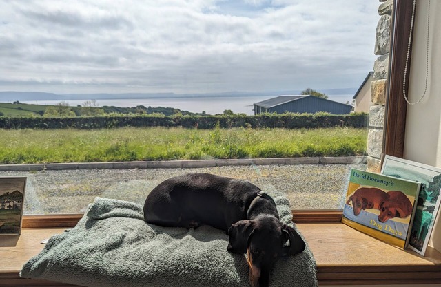 Cozy and Social Getaway for Couples, Solo Travelers, and Remote Workers