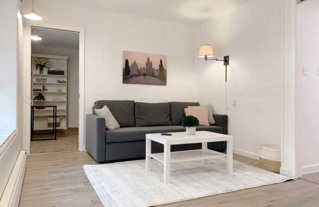 Cozy apartment Downtown FoCo