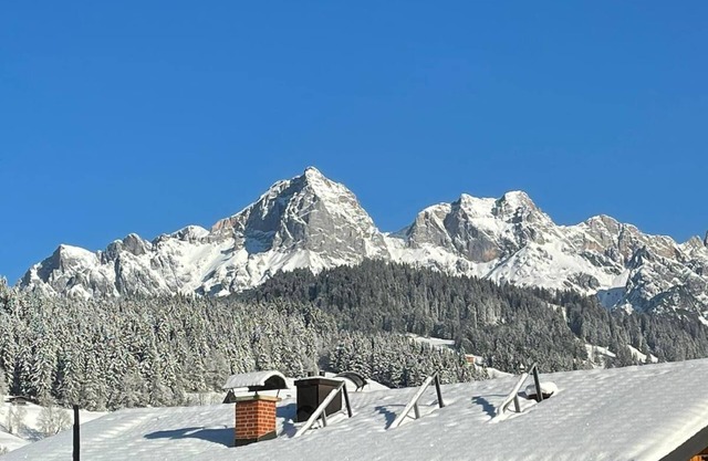 Appartement confortable « Hansl » directement dans le domaine skiable u. Randonnée pédestre, piscine et sauna