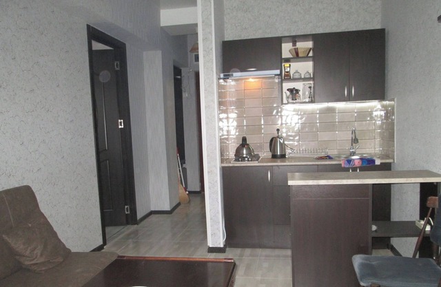 Appartement confortable dans la zone centrale de Tbilissi