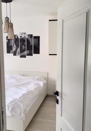 Cozy apartment