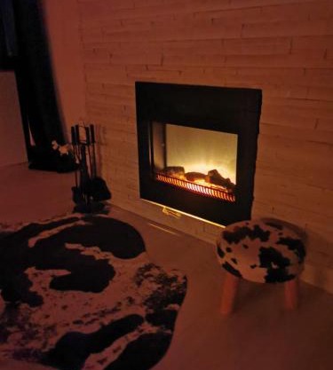 Cozy Apartment with Fireplace