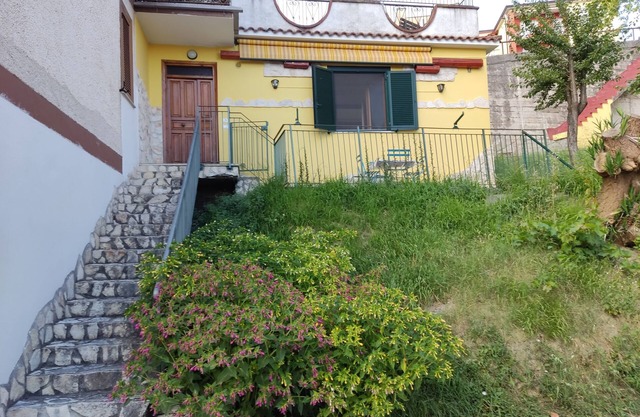 Cozy apartment within walking distance of downtown