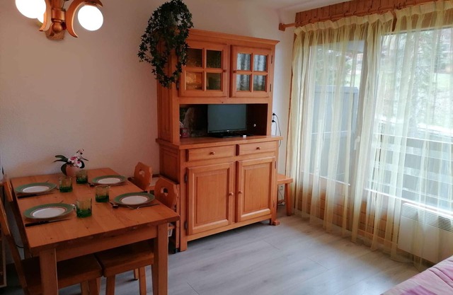 Appt cozy 5 pers, 300m pistes, parking, animaux admis
