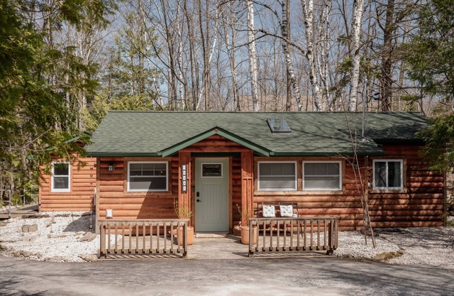 New! Cozy Birch Cabin Retreat
