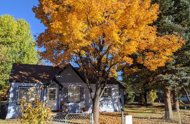 Cozy Blue "Beary" Cottage in the heart of Garden City