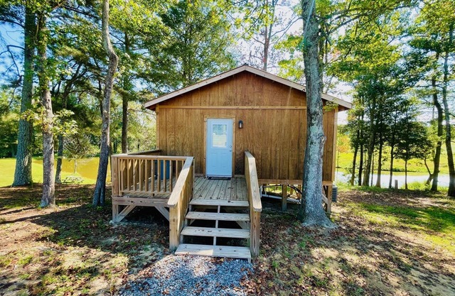Cozy Cabin by Turtle Creek w/ pond view