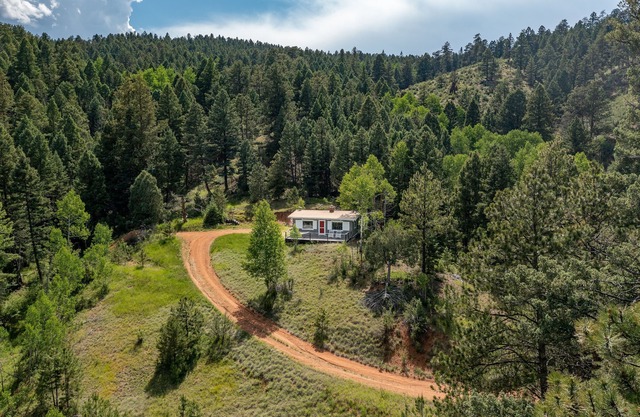 Cozy cabin in Pike National Forest