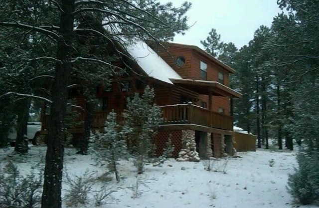 Cabine confortable dans les montagnes blanches de l'Arizona se trouve sur un acre de terre!
