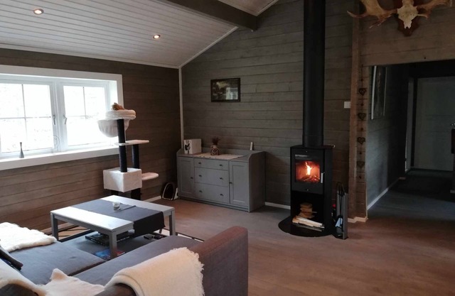 Cozy Cabin Near Trysil