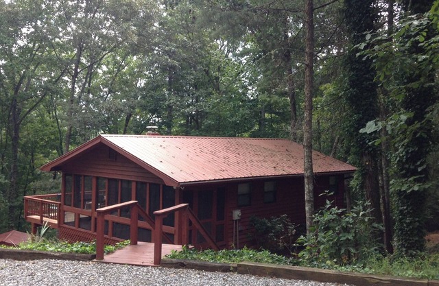 Cozy Cabin North GA Montagne