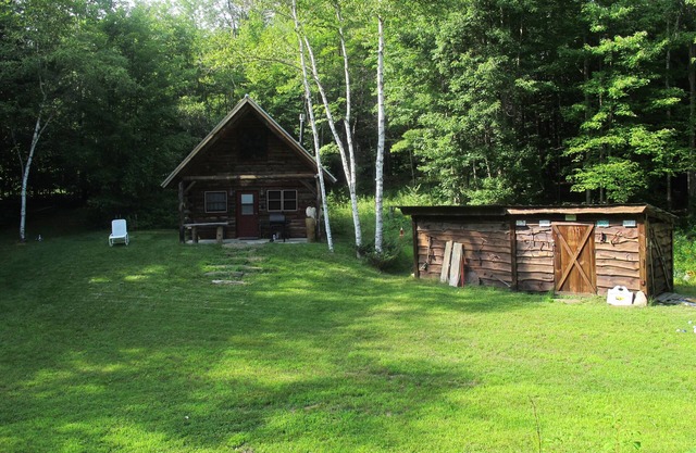 Cabine confortable sur 20 acres boisés dans le Vermont