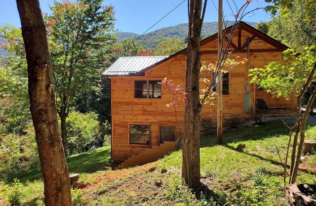 Cozy Cabin on Roan Mountain with a view and WIFI