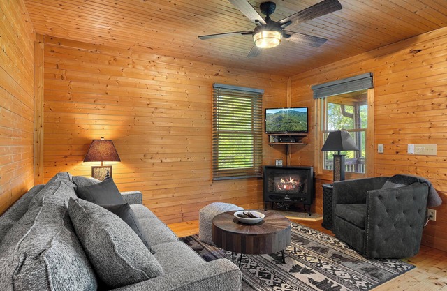 Cozy Cabin Private Mountain