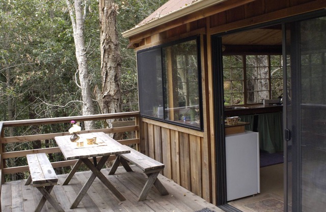 Cozy cabin retreat nestled in the redwoods, in Big Surn
