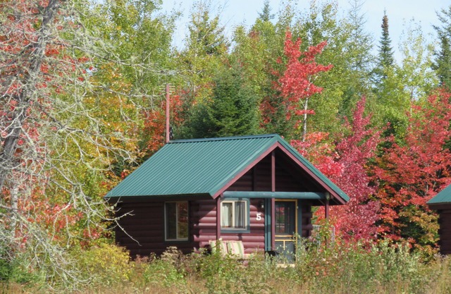 CABINE COZY AVEC VUE POND