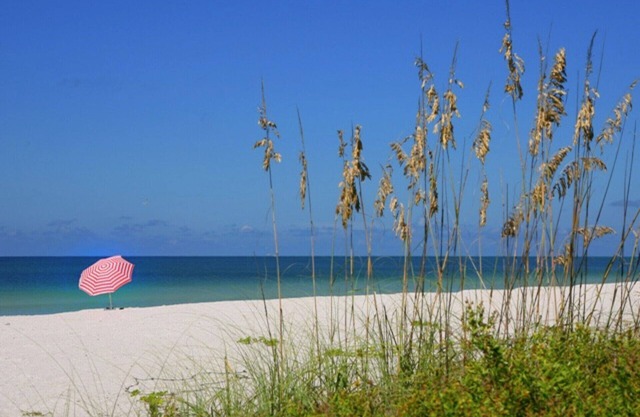 Siesta Key Beach Side - Propre, confortable et pratique!