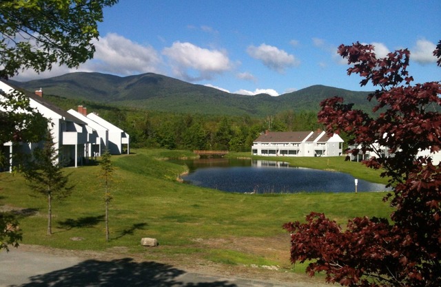 Condo confortable dans le village de Snowbrook avec piscine et WiFi gratuit