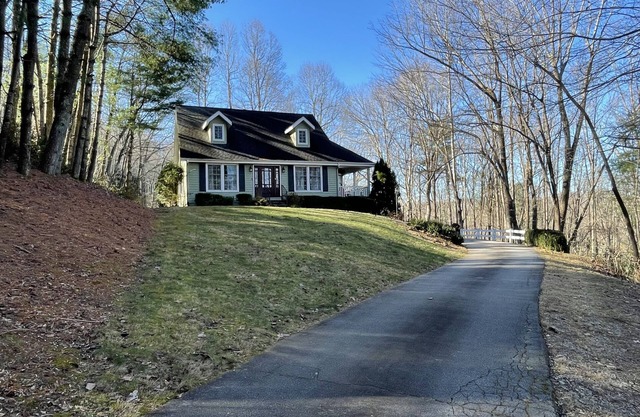 Cozy Cottage nestled in the forest. 2 Minutes to downtown Saluda.