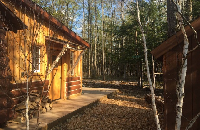 Cabine accueillante pour les familles et les animaux près du lac Fife