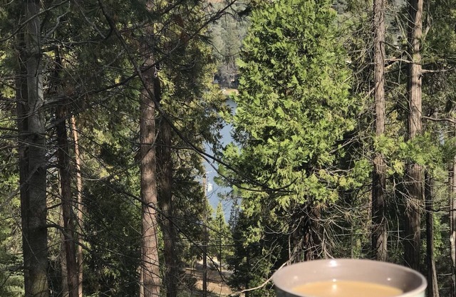 Cabane confortable et familiale dans une station balnéaire fermée près de Yosemite!