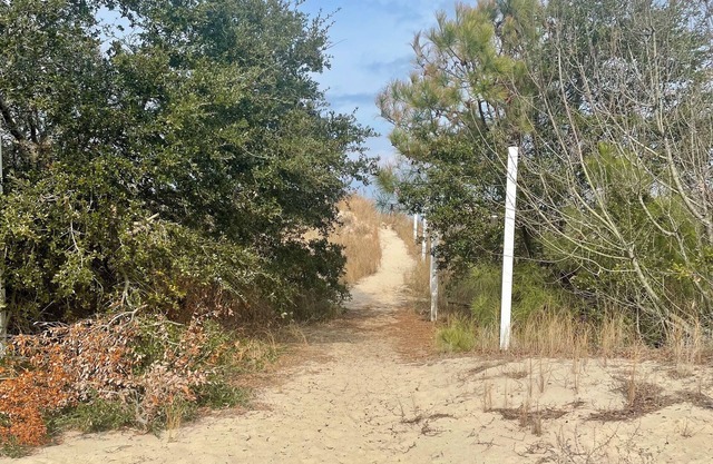 Cozy Frog on the Beach! 2-bedroom Efficiency w/ Beach Access, WiFi, Smart TV