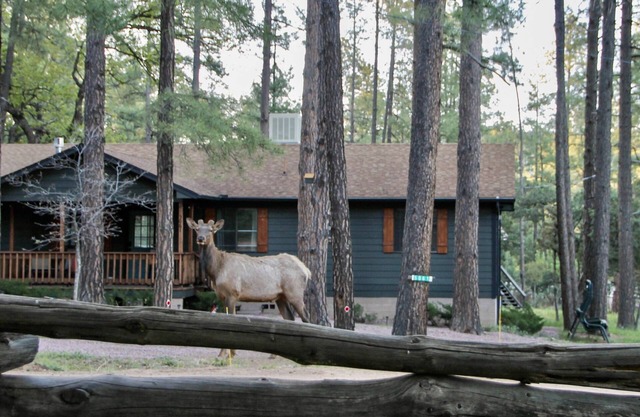 Cozy Getaway near historic schoolhouse