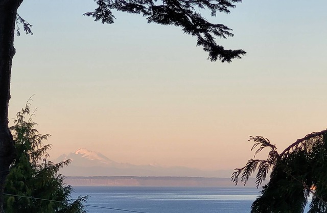 Relaxing ocean views while sipping coffee on the porch .