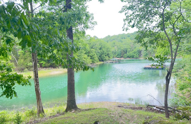Lake Front Charming Cabin, Swim, Boat, Relax, Canoe, Kayak, Fire Pit