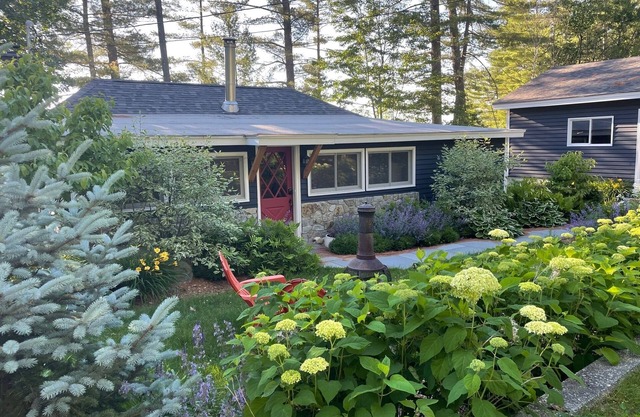 Cozy Lakefront Cottage On Forest Lake- Live the Lake Life!