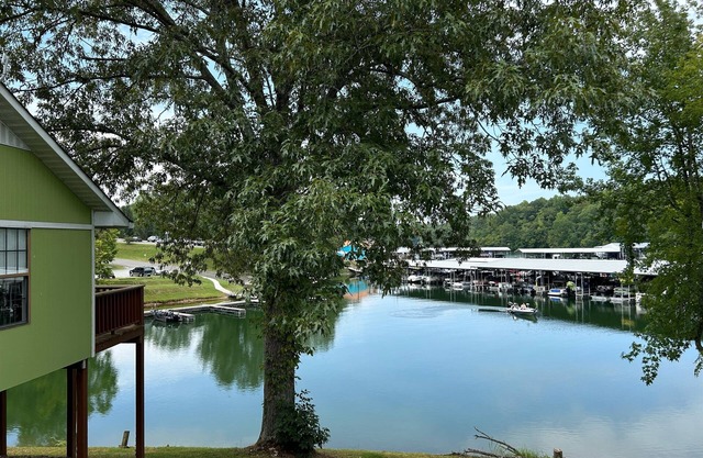 Cozy, lakeside cabin on beautiful Tims Ford Lake-CABIN #1