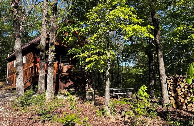 CABINE DE GRANDPA DANS LES BOIS