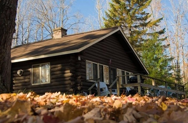 Location de cabane en rondins confortable