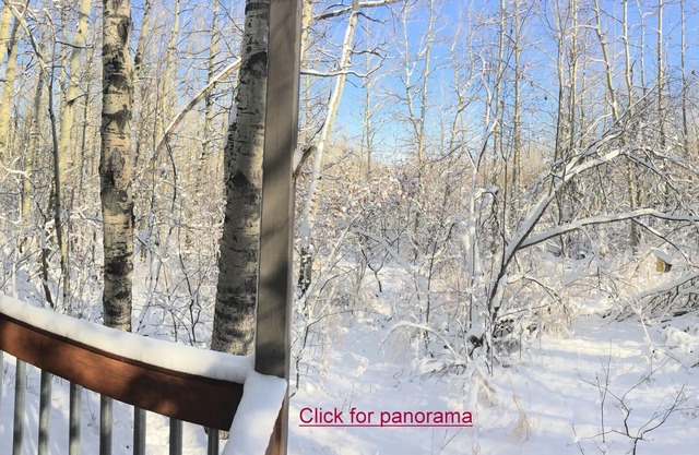 Sweet Condo in Aspens-bien isolé, mais seulement 3 minutes à pied des pistes!