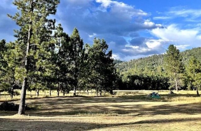 Cozy mountain meadow studio near Yosemite!
