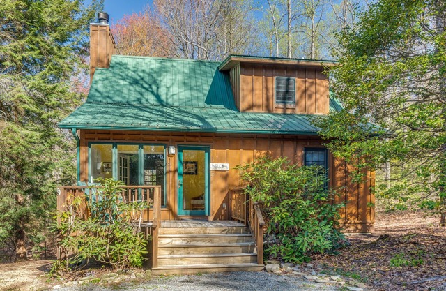 Cozy Mountain Top Cabin 13 Acres Près de Dupont State Forest Wifi