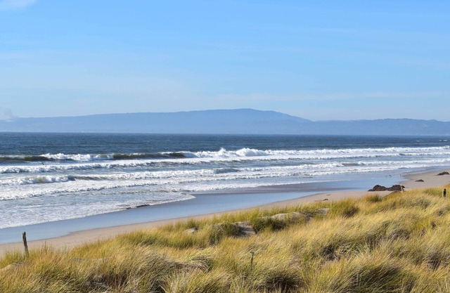Cozy, Ocean Front Condo NOUVEAUX terrains de Pickleball