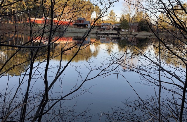 Cozy one bedroom home on 50 private acres with a 4 acre, stocked pond.